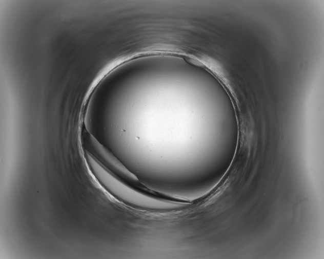 X0000087621390200704271351