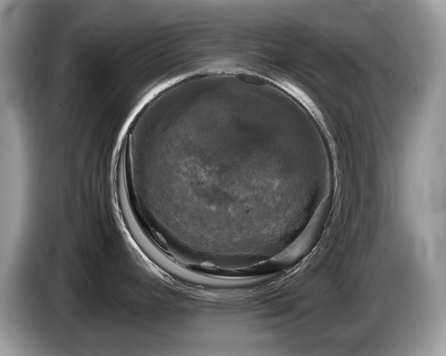 X0000087621392200704271350