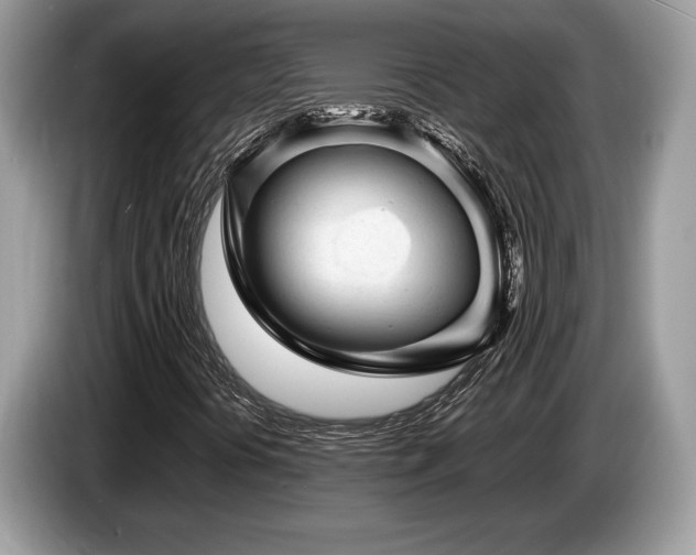 X0000087621394200704271350