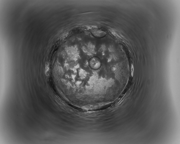 X0000087621395200704271350