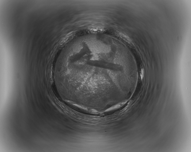X0000087621396200704271350