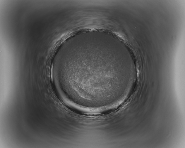 X0000087621398200704271350