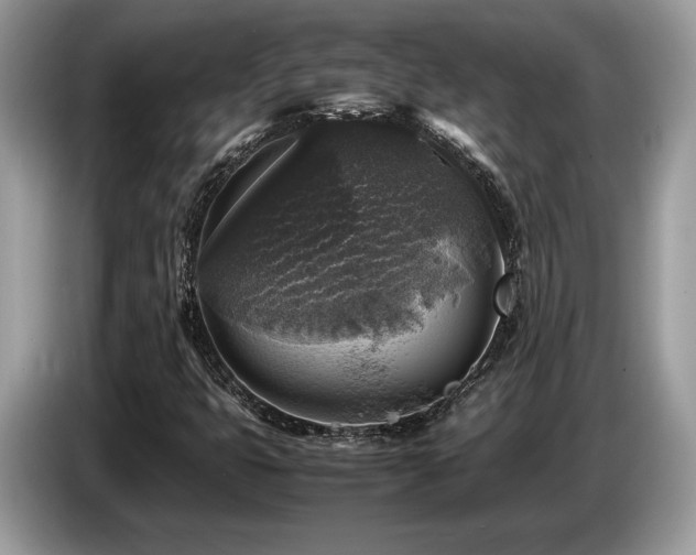 X0000087621399200704271350