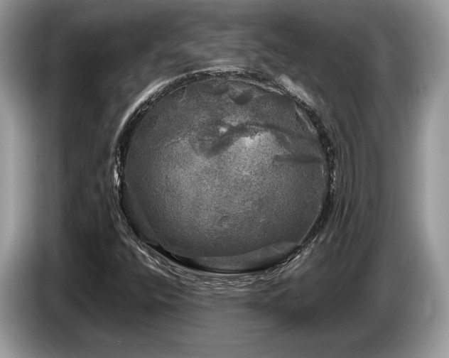 X0000087621400200704271350