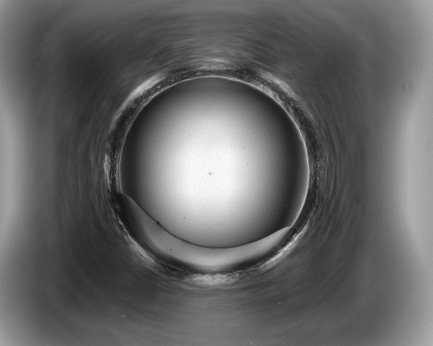 X0000087621402200704271350