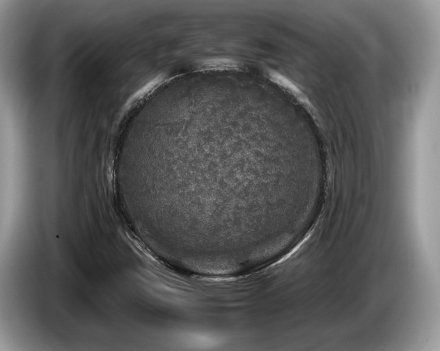 X0000087621403200704271350