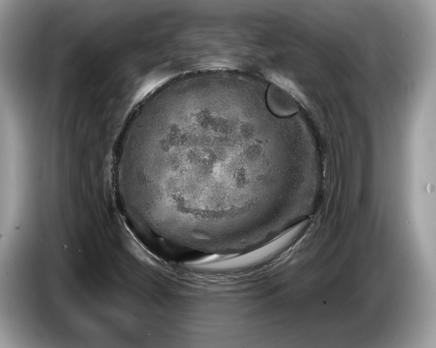 X0000087621404200704271350