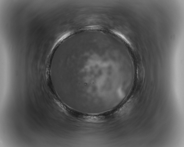 X0000087621405200704271350