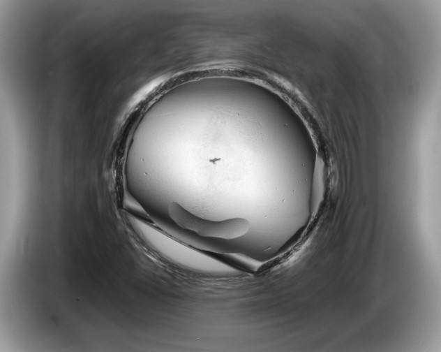 X0000087621406200704271350