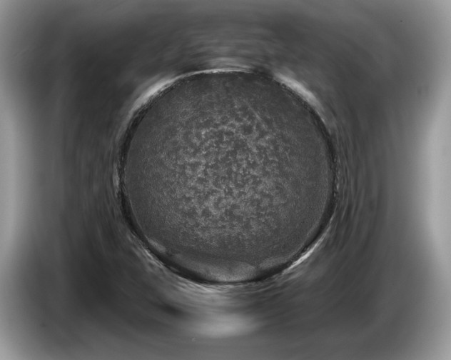 X0000087621407200704271350