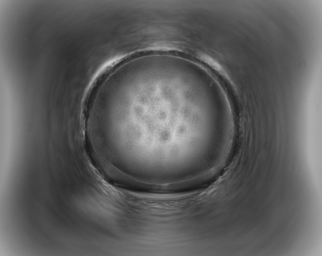 X0000087621408200704271350