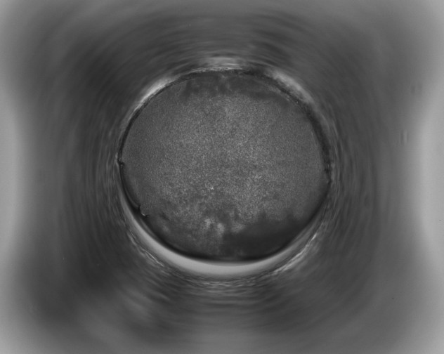 X0000087621409200704271350