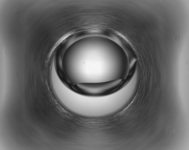 X0000087621410200704271350