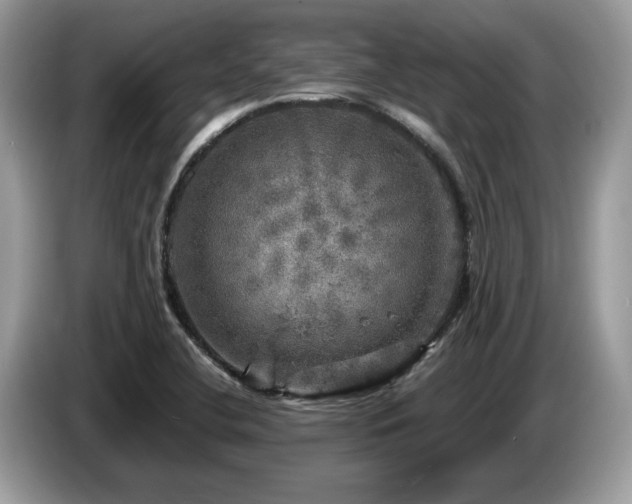 X0000087621412200704271350