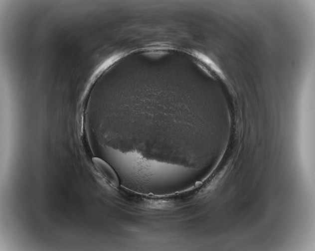 X0000087621413200704271350