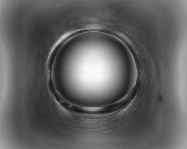 X0000087621414200704271350