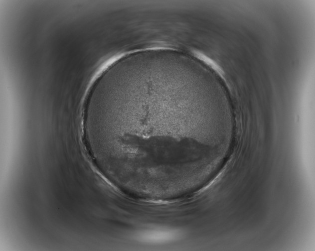 X0000087621415200704271350