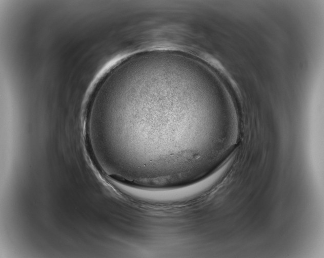 X0000087621416200704271350