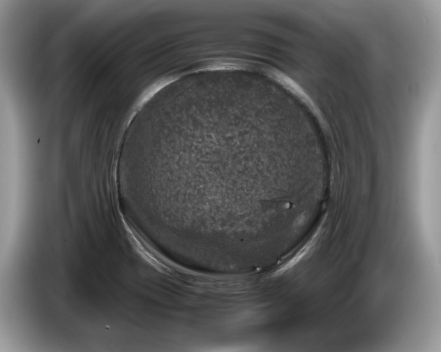 X0000087621417200704271350
