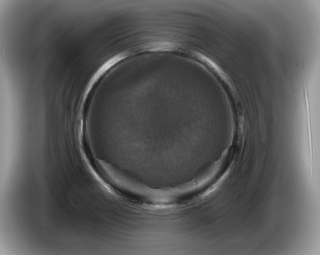 X0000087621418200704271350