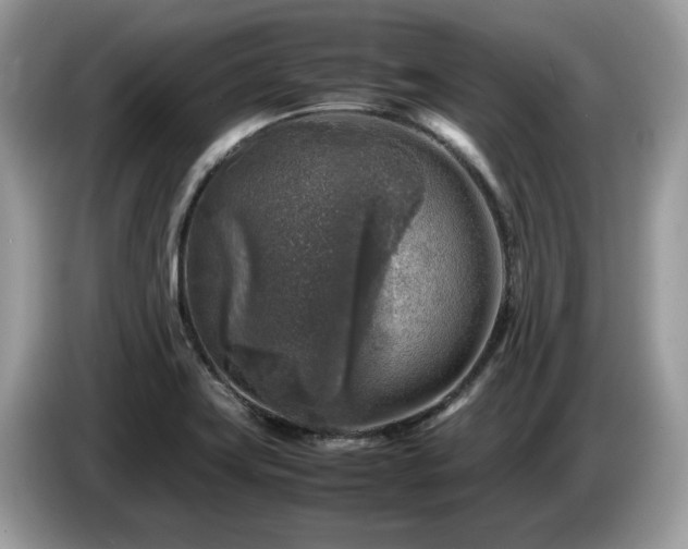 X0000087621419200704271350