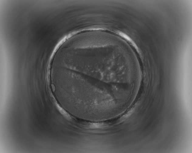 X0000087621421200704271350