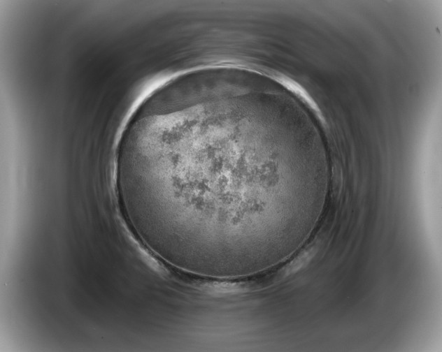 X0000087621424200704271350
