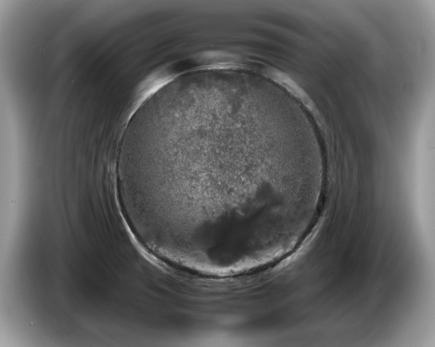 X0000087621425200704271350