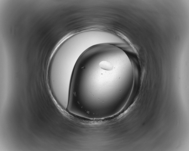X0000087621426200704271350
