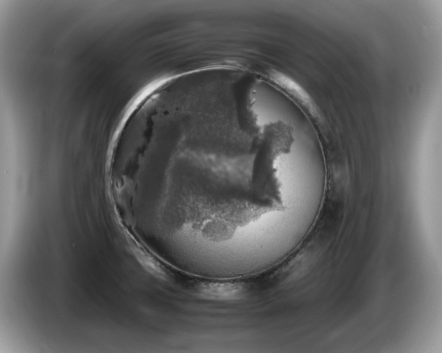 X0000087621427200704271350