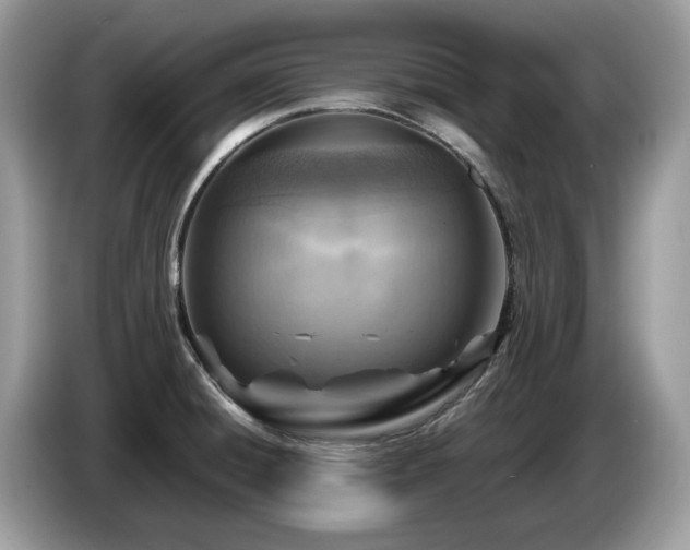 X0000087621428200704271350