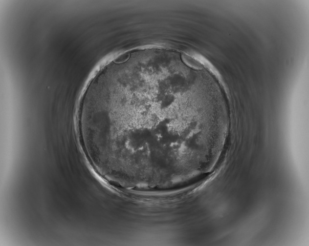 X0000087621429200704271350