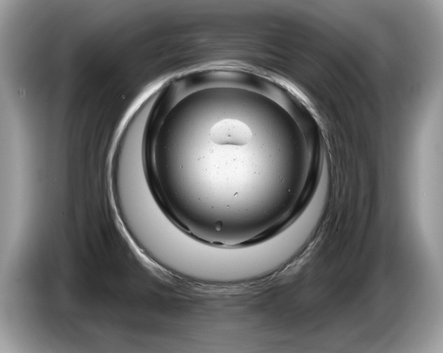X0000087621430200704271350