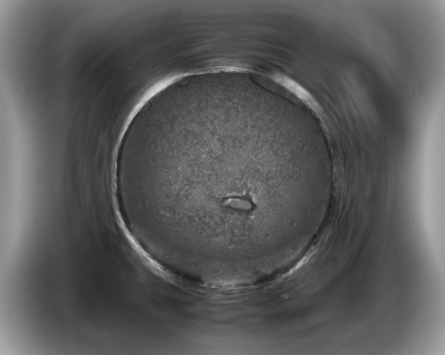 X0000087621431200704271350