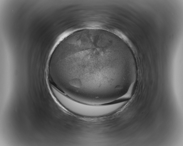 X0000087621432200704271350