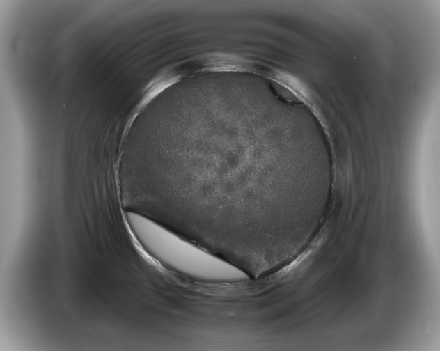 X0000087621433200704271350