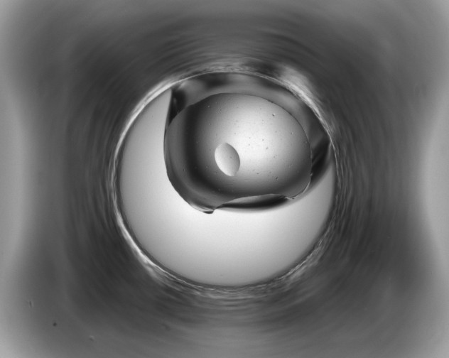 X0000087621434200704271350