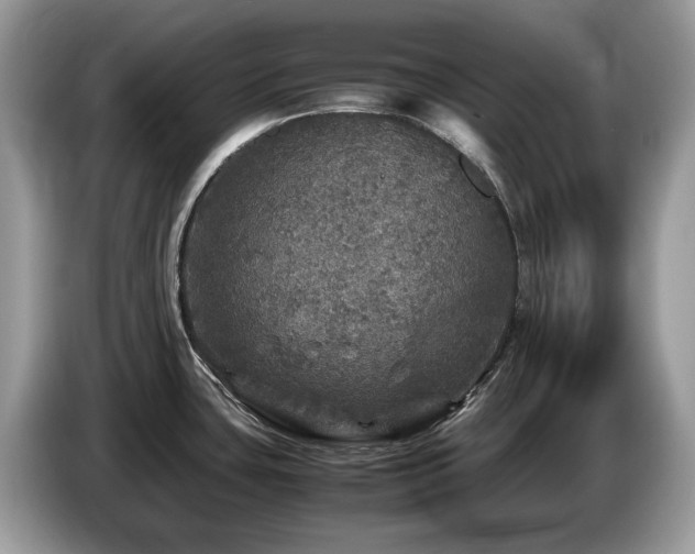 X0000087621435200704271350