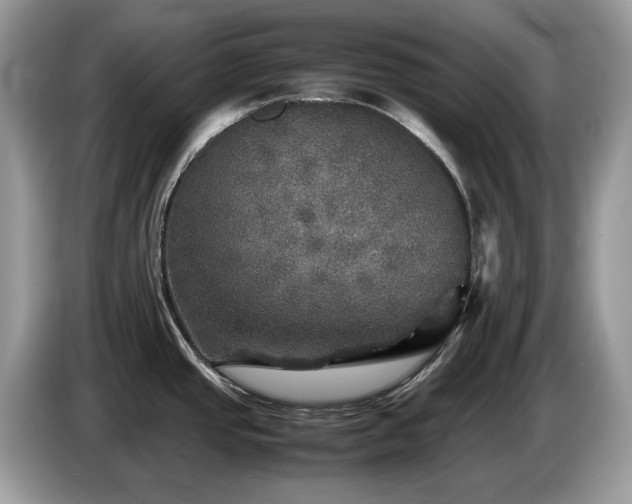 X0000087621437200704271350