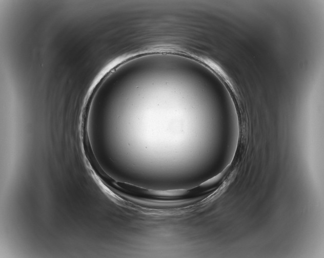 X0000087621438200704271350