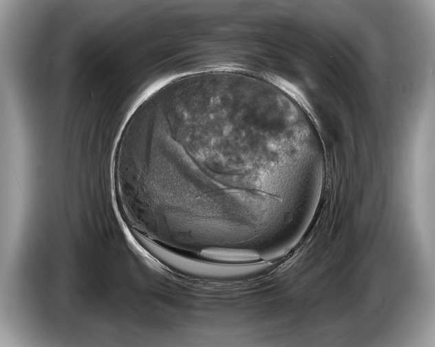 X0000087621439200704271350