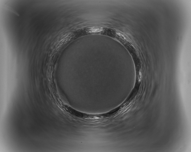 X0000087621441200704271350