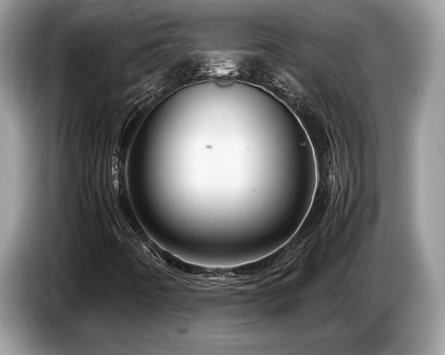 X0000087621442200704271350
