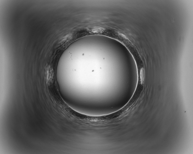 X0000087621443200704271350