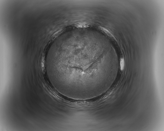 X0000087621444200704271350