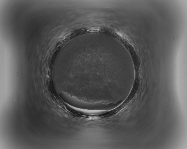 X0000087621445200704271350