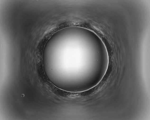 X0000087621447200704271350