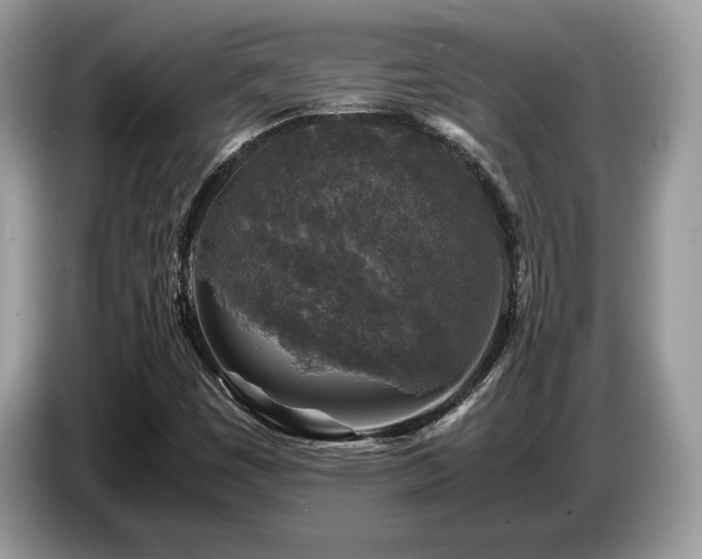 X0000087621449200704271350