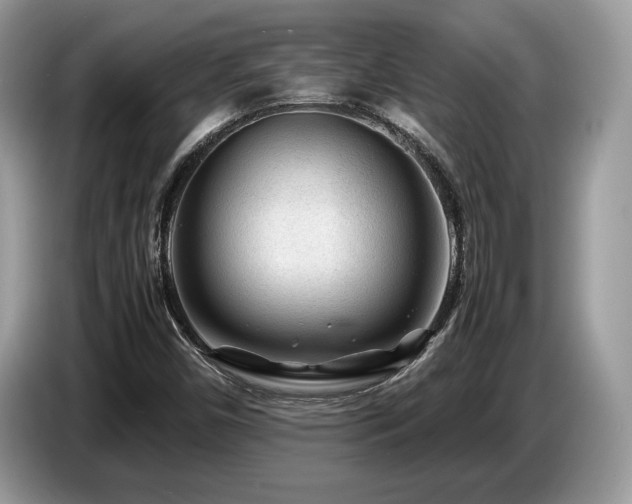 X0000087621450200704271350
