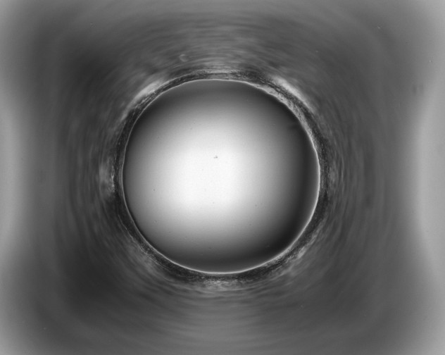 X0000087621451200704271350